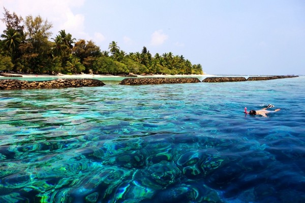 马尔代夫自助游图片