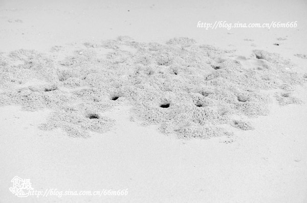 马尔代夫图片 马尔代夫图片