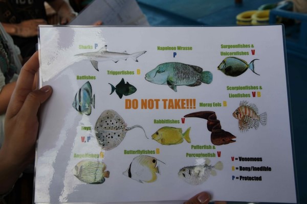 马尔代夫景点图片