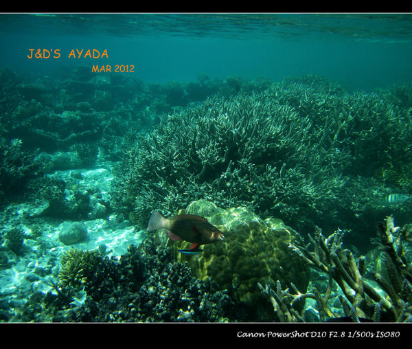 马尔代夫景点图片