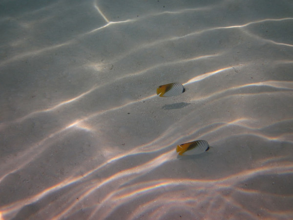 马尔代夫旅游攻略图片 马尔代夫旅游攻略图片