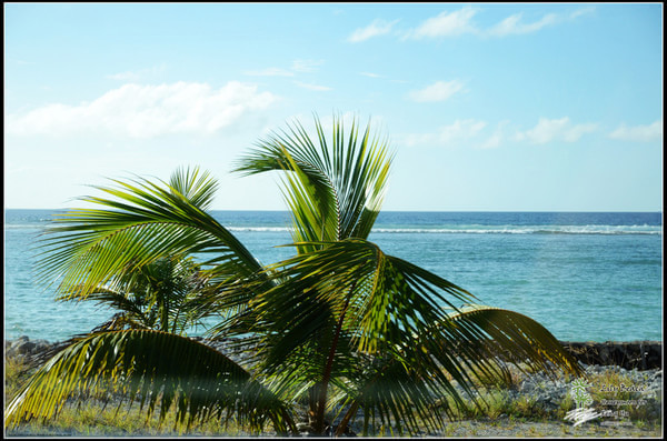 马尔代夫旅游攻略图片