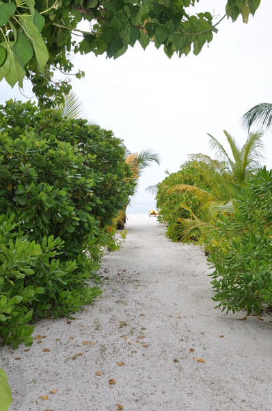 马尔代夫旅游攻略图片 马尔代夫旅游攻略图片