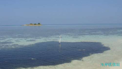 白金岛Adaraan Hudhuranfushi,马尔代夫游记，海岸线假期