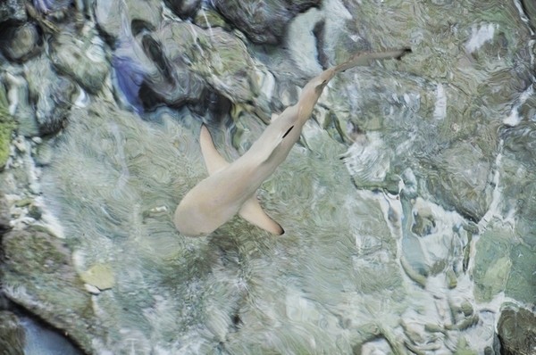 马尔代夫景点图片