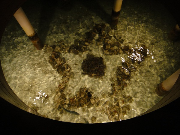 马尔代夫旅游攻略图片