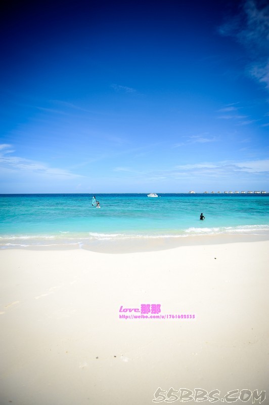 nEO_IMG_DSC_2515.jpg nEO_IMG_DSC_2515.jpg