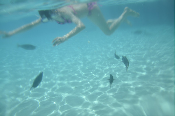 玛拉法鲁岛自助游图片 玛拉法鲁岛自助游图片