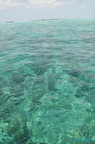 【不出去走走，你以为这就是世界】---薇拉瓦鲁岛,马尔代夫游记，海岸线假期