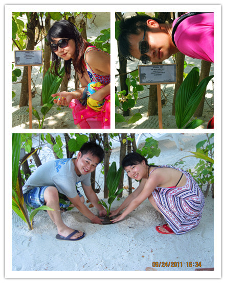 马尔代夫自助游图片