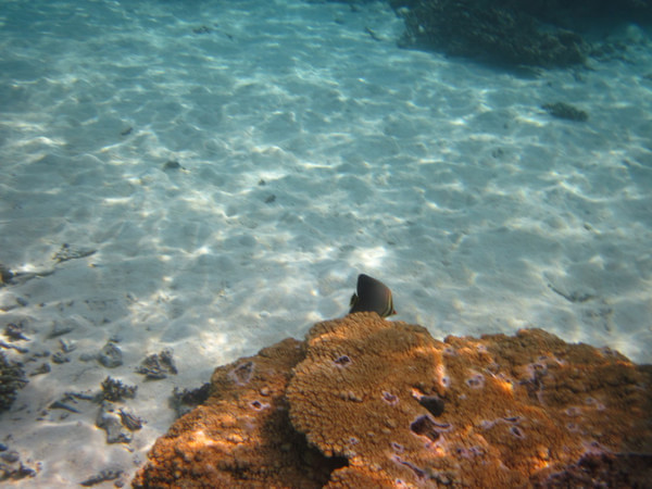 马尔代夫图片 马尔代夫图片