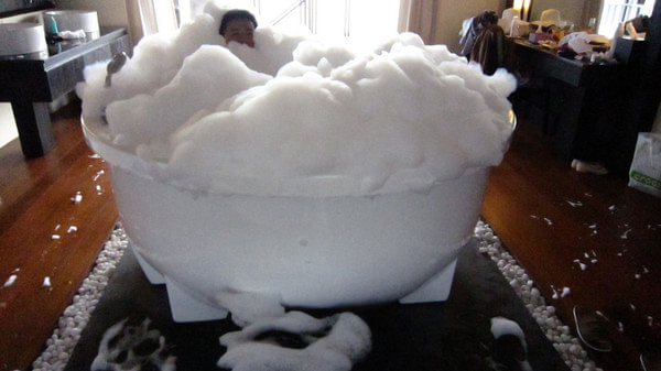 马尔代夫自助游图片