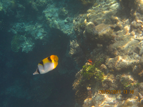 马尔代夫自助游图片 马尔代夫自助游图片