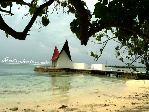 马尔代夫自助游图片