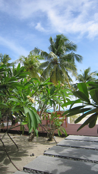 马尔代夫景点图片