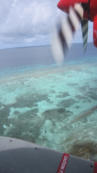 马尔代夫自助游图片