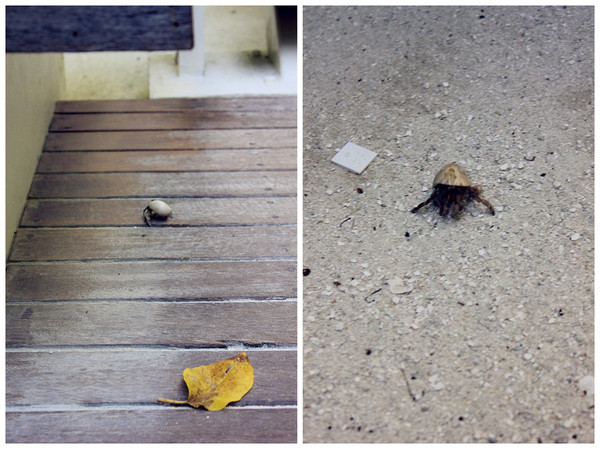 马尔代夫自助游图片 马尔代夫自助游图片