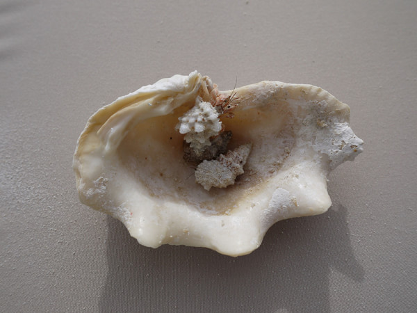 马尔代夫景点图片 马尔代夫景点图片