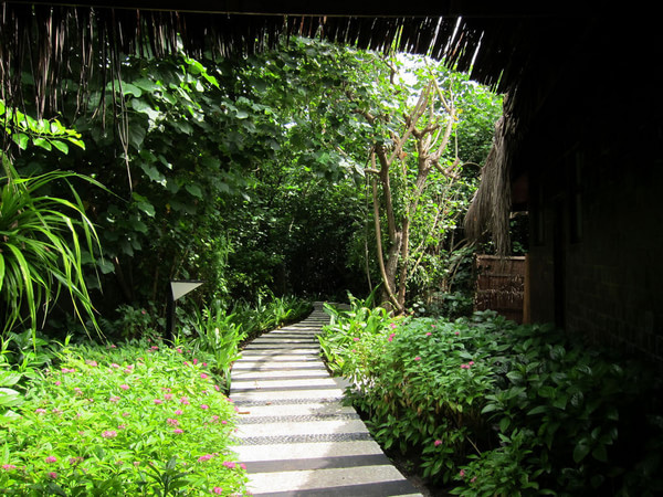 马尔代夫自助游图片