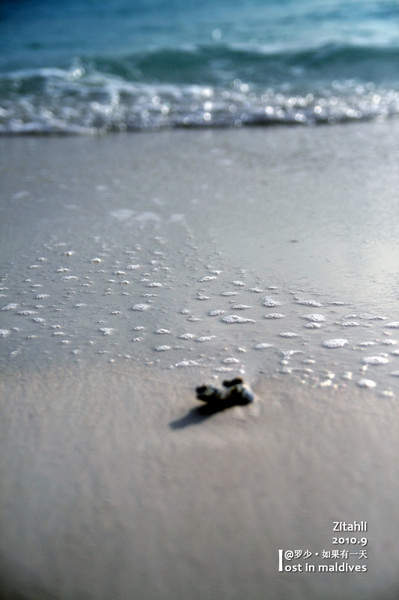 马尔代夫旅游攻略图片