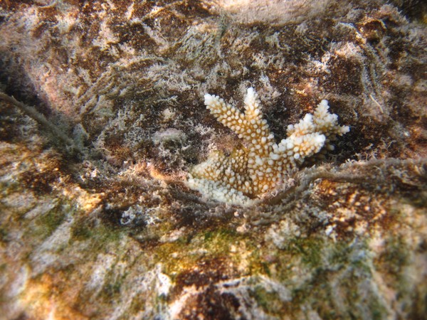 马尔代夫旅游攻略图片 马尔代夫旅游攻略图片