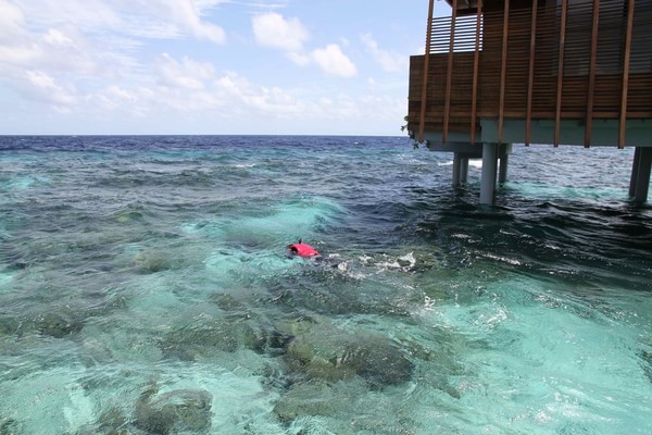 马尔代夫自助游图片