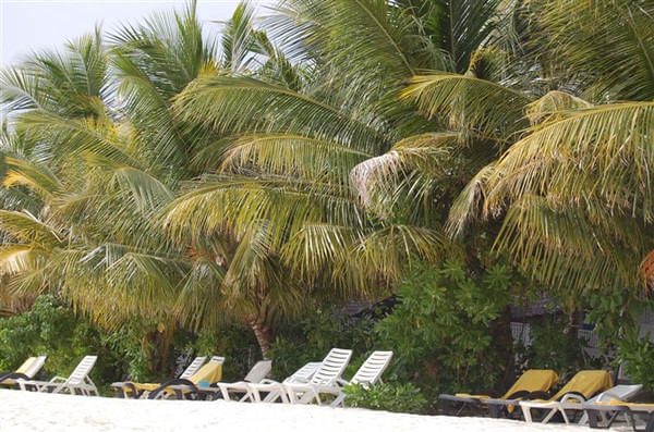 马尔代夫景点图片