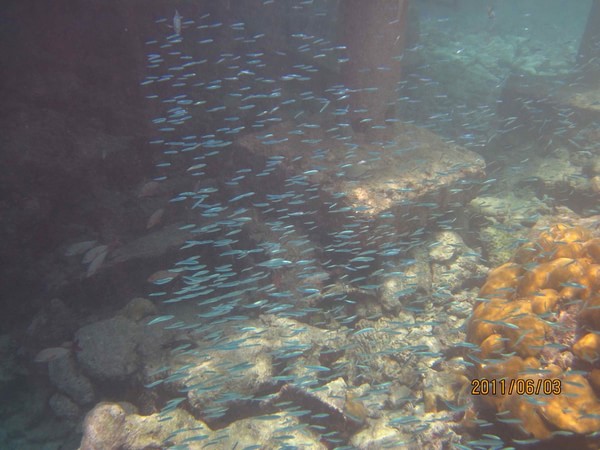 马尔代夫旅游攻略图片