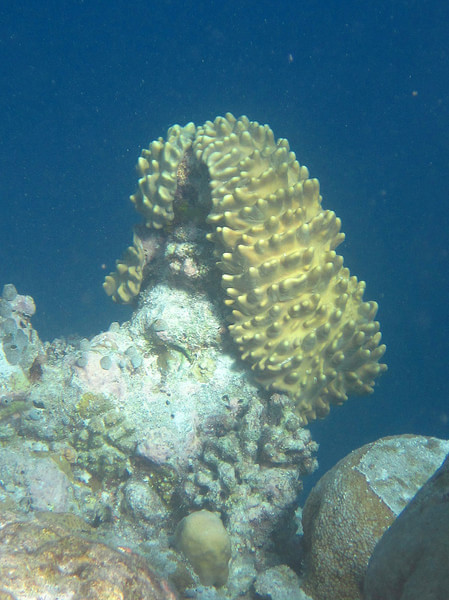 马尔代夫景点图片 马尔代夫景点图片