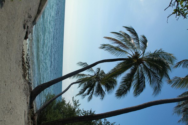 白金岛自助游图片 白金岛自助游图片