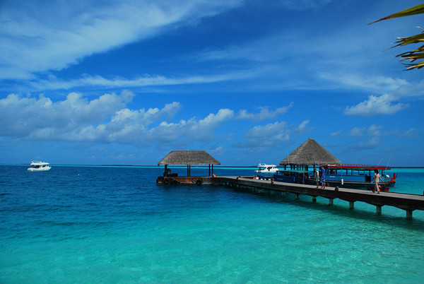 马尔代夫自助游图片