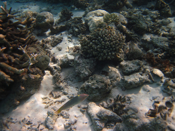 马尔代夫景点图片 马尔代夫景点图片