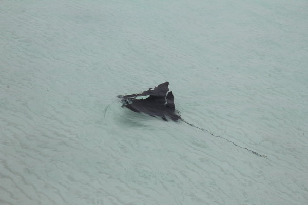 安娜塔拉岛图片