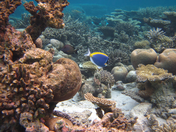 马尔代夫景点图片 马尔代夫景点图片