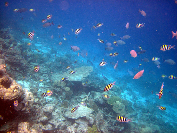 马尔代夫旅游攻略图片