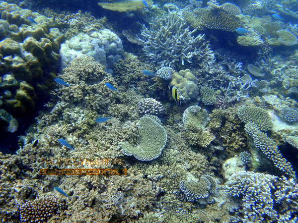 马尔代夫景点图片 马尔代夫景点图片