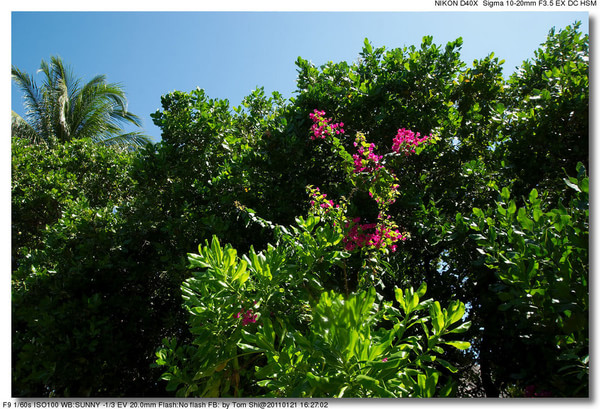 马尔代夫旅游攻略图片