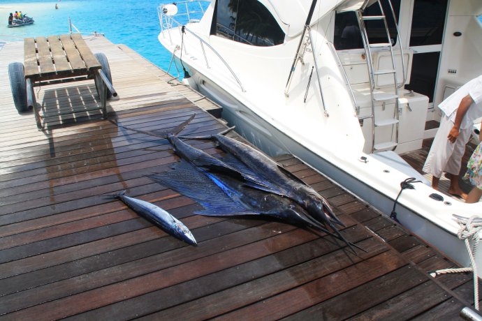 马尔代夫游记(一)初到港丽岛 马尔代夫游记(一)初到港丽岛