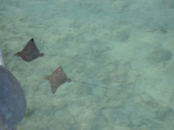 马尔代夫旅游攻略图片 马尔代夫旅游攻略图片