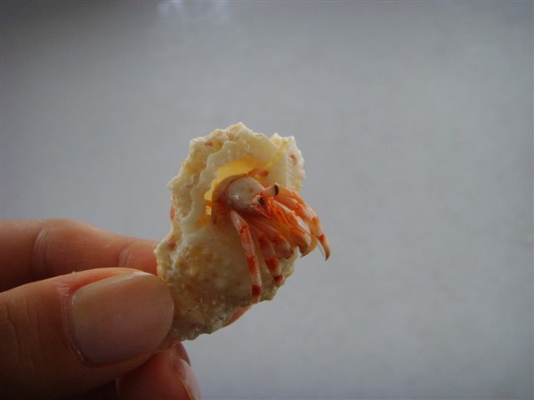 马尔代夫自助游图片 马尔代夫自助游图片