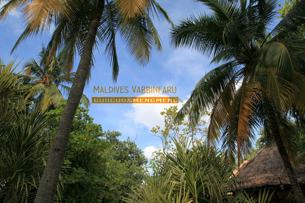 马尔代夫图片 马尔代夫图片