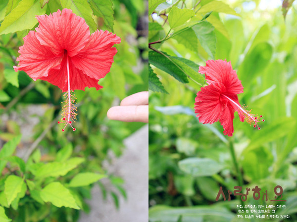 马尔代夫旅游攻略图片 马尔代夫旅游攻略图片