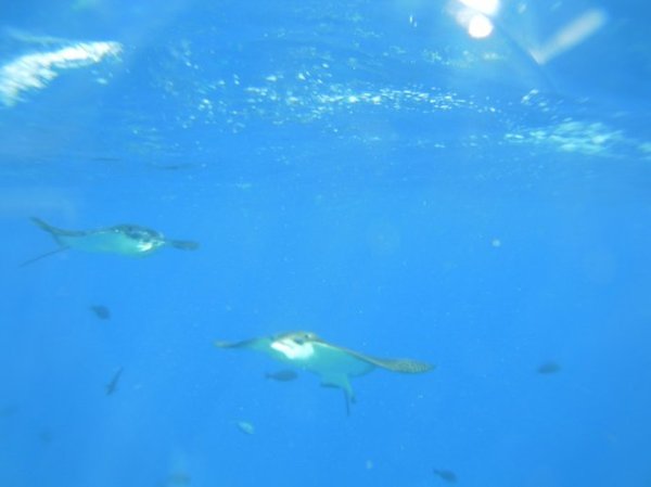 马尔代夫旅游攻略图片