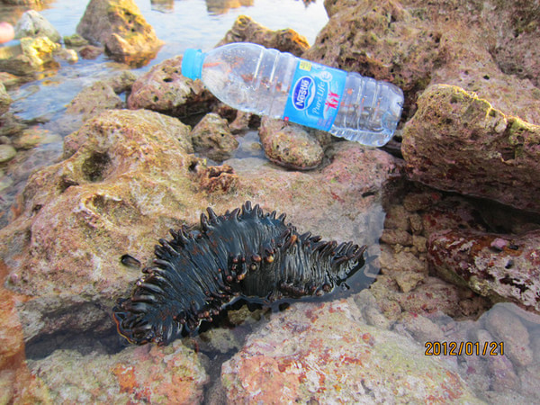 马尔代夫自助游图片