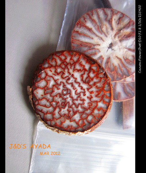 马尔代夫自助游图片