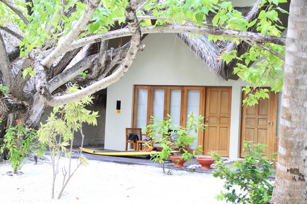 白金岛景点图片 白金岛景点图片