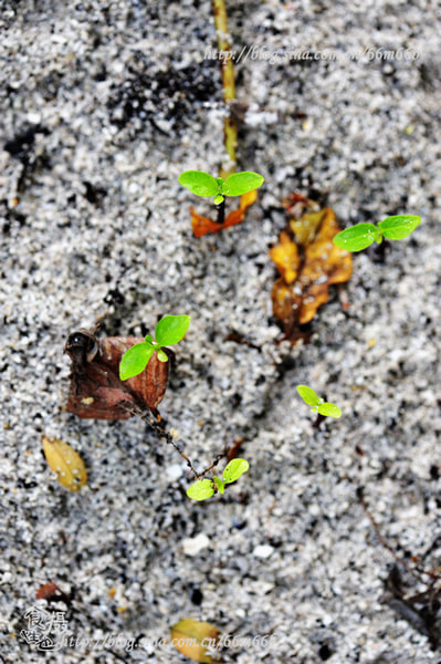 马尔代夫景点图片 马尔代夫景点图片