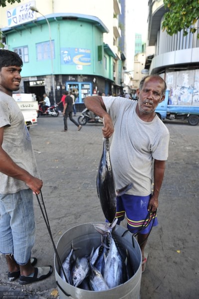 马尔代夫自助游图片