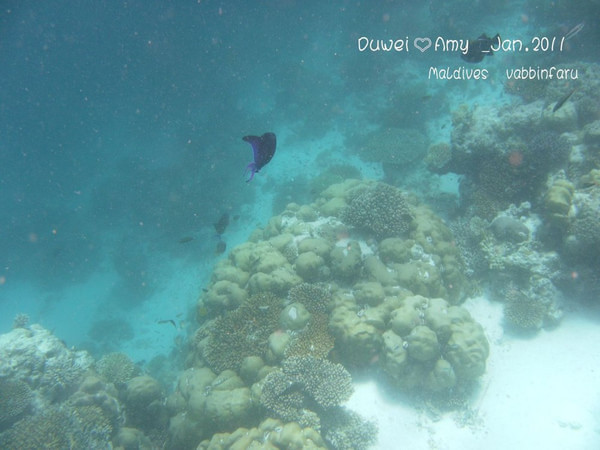 马尔代夫旅游攻略图片