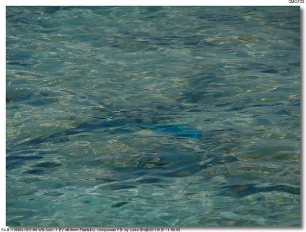 马尔代夫景点图片